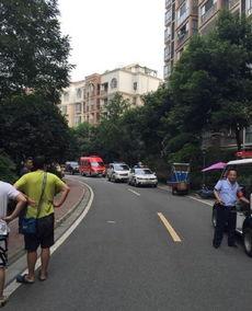 成都港的最新爆料,揭秘港口发展新动向与未来蓝图